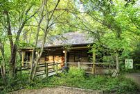 Log Cabin Rental at Edith L. Moore Nature Sanctuary